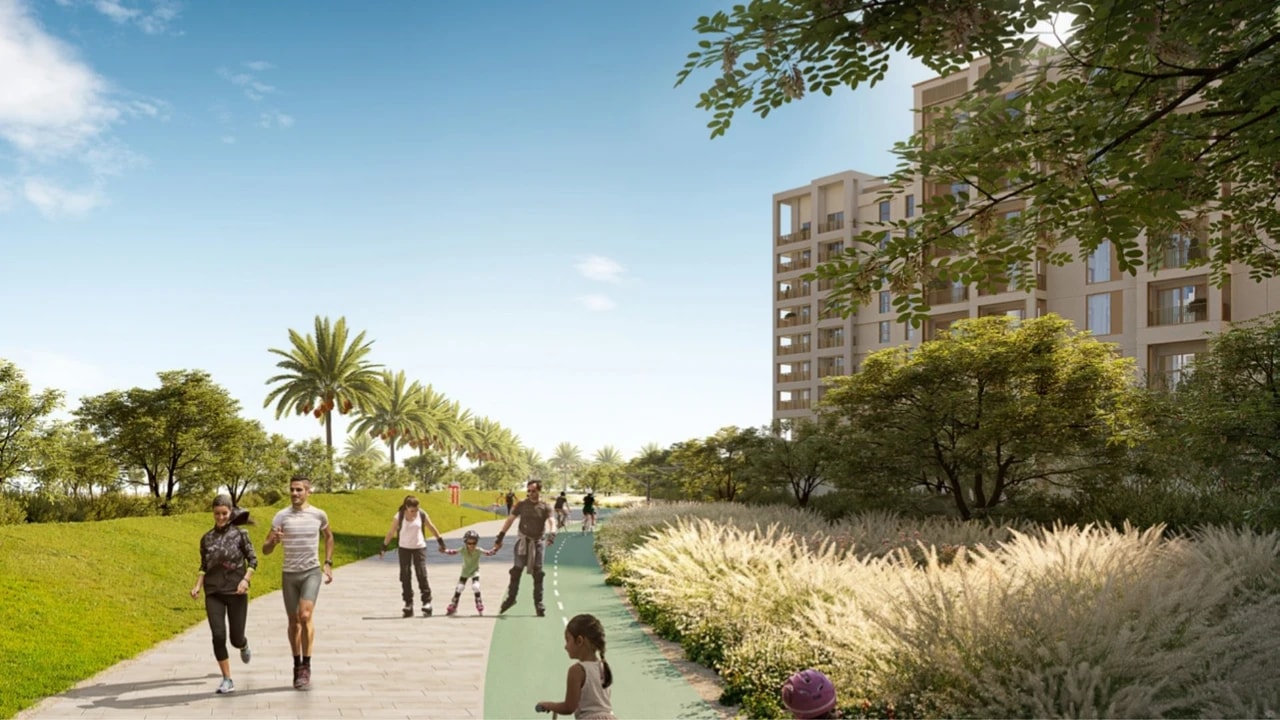 Mangrove at Creek Beach Dubai Creek Harbour – view